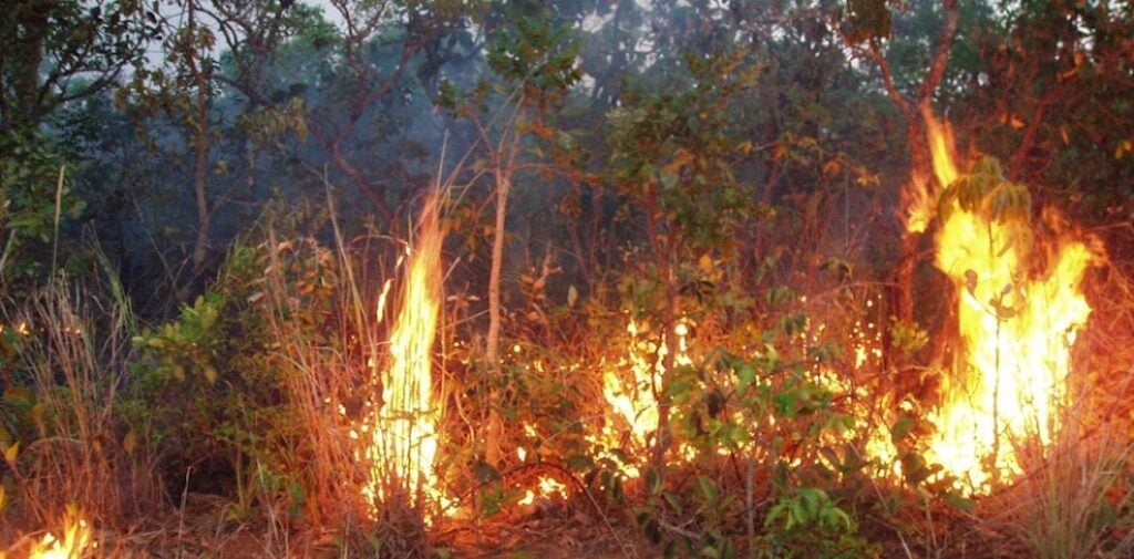 Brésil : L’ Amazonie en feu, la troublante révélation du président