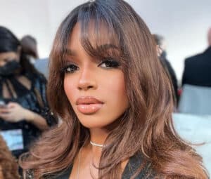 Didistone a rechuté dans la musique mondaine