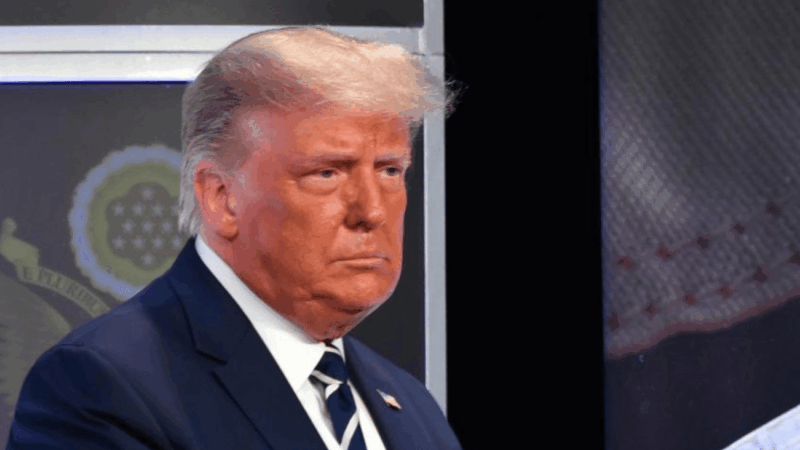 États-Unis : Donald Trump supprime l'aide juridique pour les enfants migrants