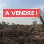 Vente de terrain à Lakota, en Côte d'Ivoire