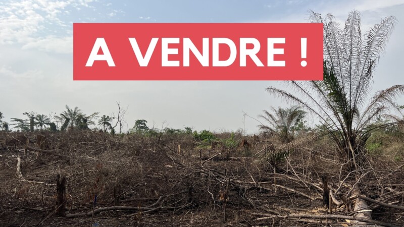 Vente de terrain à Lakota, en Côte d'Ivoire