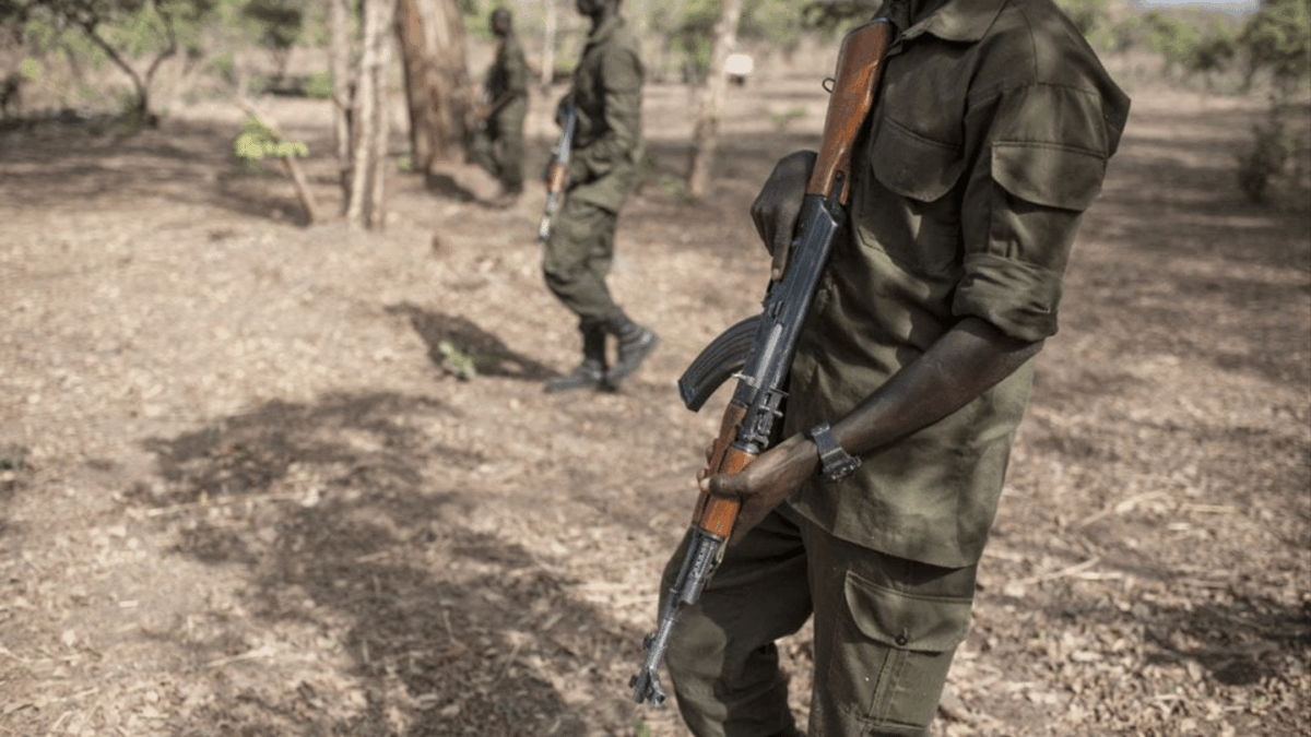 Mali : des terroristes éliminés dans la région de Gao et Douentza