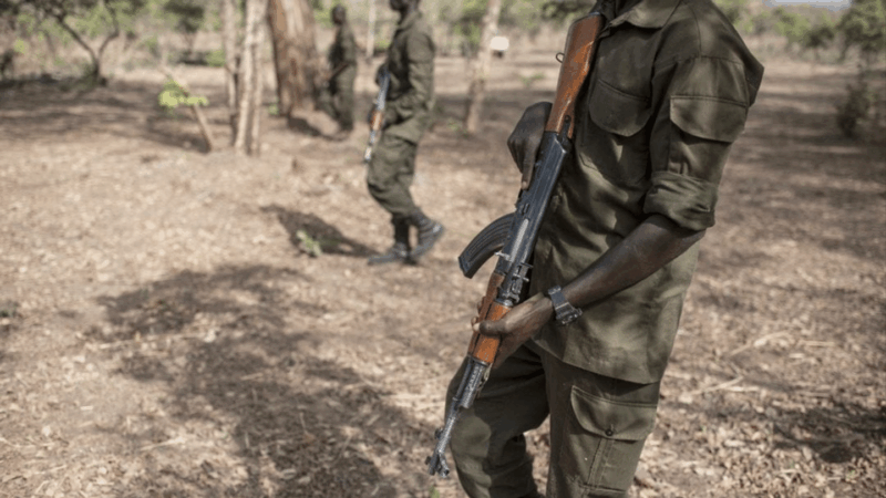 Mali : des terroristes éliminés dans la région de Gao et Douentza