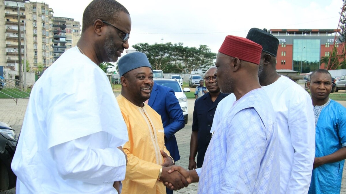 Tidjane Thiam chez Ousmane Diakite