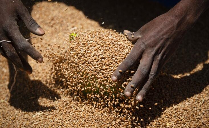 Sécurité alimentaire : la Russie au secours de 6 pays africains