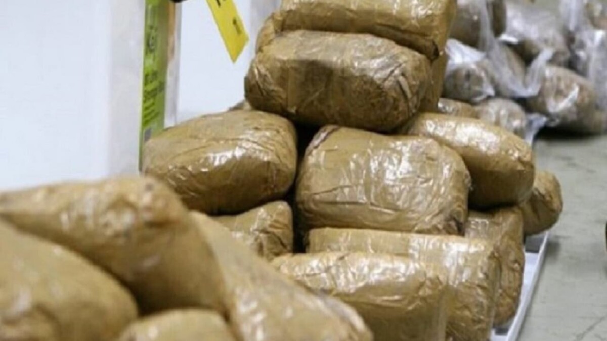 Burkina Faso : des femmes arrêtées pour trafic de drogue de plus de 90 millions FCFA