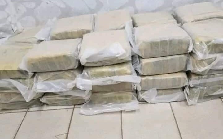 Côte d'Ivoire : des sacs de cannabis saisis à Attéocoubé