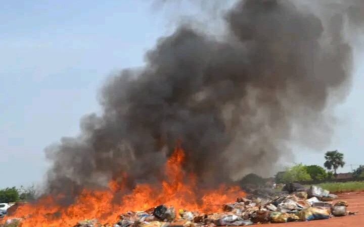 Burkina Faso : incinération d'une quantité importante de stupéfiants à Nahouri