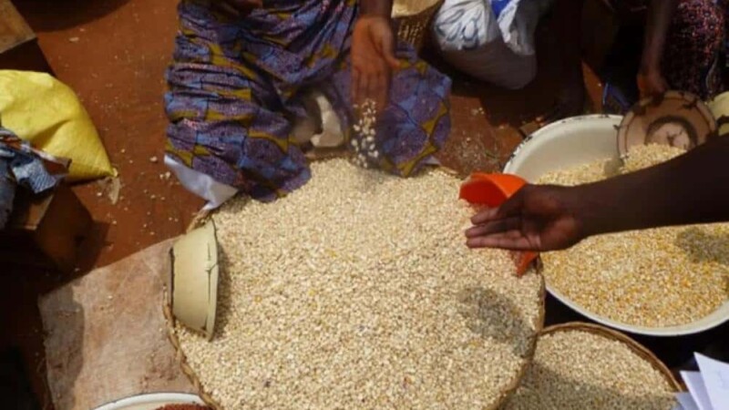 Le Bénin suspend l’exportation des céréales et des tubercules