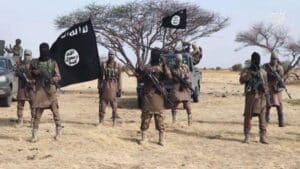 Cameroun : une attaque de Boko Haram fait 03 morts