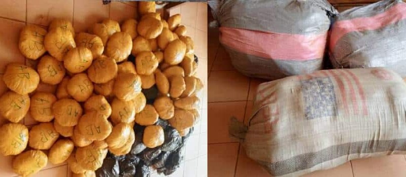 Bénin : la police saisit 60 Kg de chanvre indien dans une opération