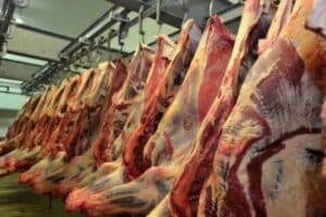 Côte d'Ivoire : 30 milliards FCFA pour la construction d'un abattoir à Anyama