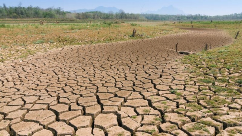 Risque de dégradation de 90 % des terres émergées d'ici 2050 (UNESCO)