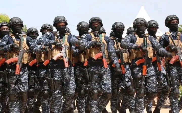 Mali : plus de 6000 cartons de pâtes alimentaires confisqués par la douane