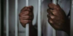 Sénégal : 12 activistes arrêtés pour avoir demandé l'expulsion de l'ambassadeur Ukrainien