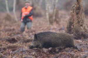 Un chasseur tué dans une série de tirs à Bussy-Albieux