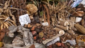 Mali : l'utilisation des produits aphrodisiaques "naturels" interdite