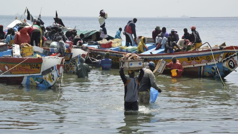 Sénégal : pourquoi l'accord de pêche avec l'UE ne sera pas renouvelé