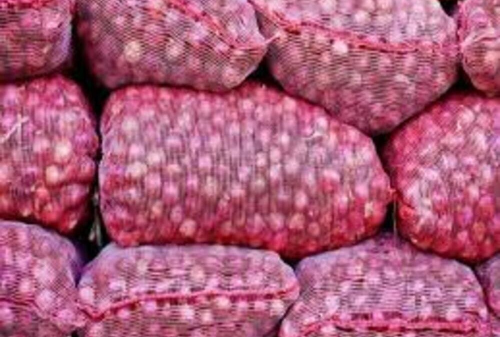 Sénégal : les importations d'oignons suspendues