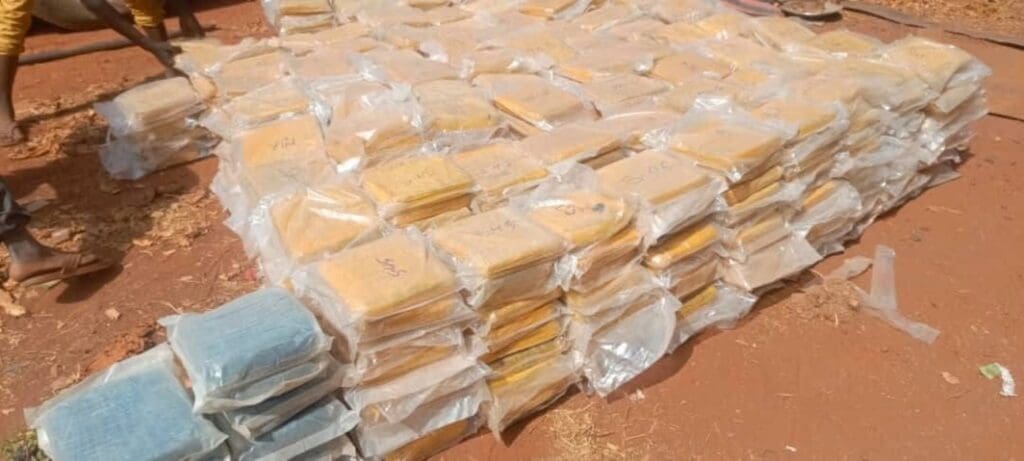 Côte d’ivoire : un dealer de drogue interpellé à San-Pedro