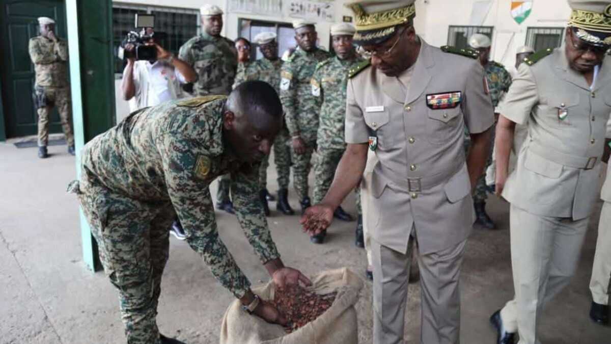 Côte d'Ivoire : saisie record de 1266 sacs de fèves de cacao dissimulés dans 6 conteneursCôte d'Ivoire : saisie record de 1266 sacs de fèves de cacao dissimulés dans 6 conteneursCôte d'Ivoire : saisie record de 1266 sacs de fèves de cacao dissimulés dans 6 conteneursCôte d'Ivoire : saisie record de 1266 sacs de fèves de cacao dissimulés dans 6 conteneurs
