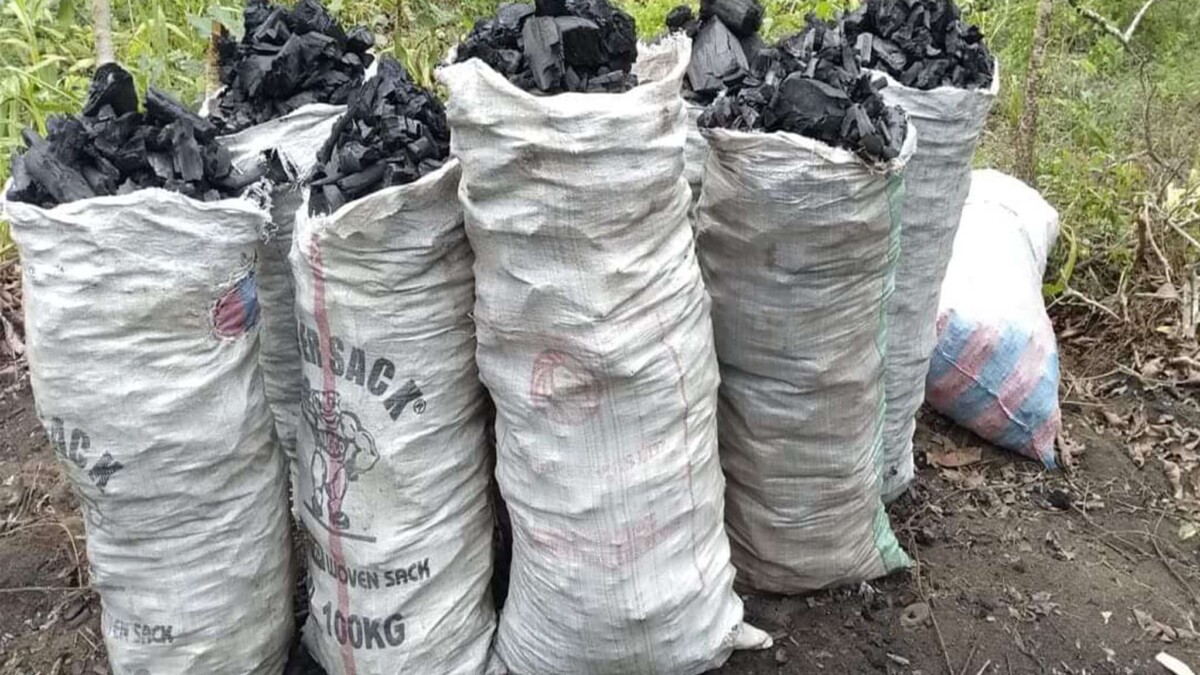 Tchad : interdiction formelle de commercialisation du charbon et du bois