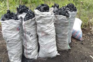 Tchad : interdiction formelle de commercialisation du charbon et du bois