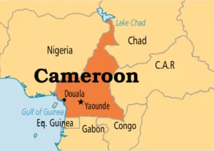 Cameroun : la croissance économique atteindra 4,2% en 2025 (Fitch Solutions)