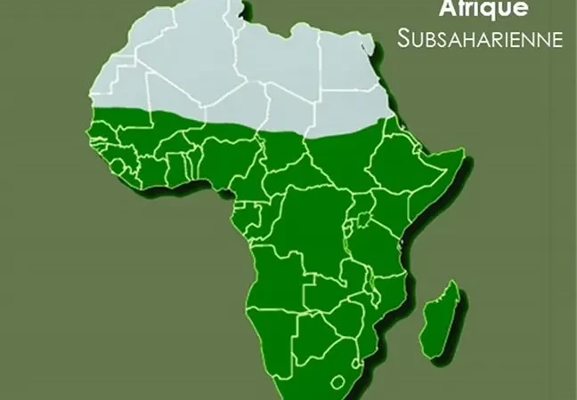 Afrique Subsaharienne
