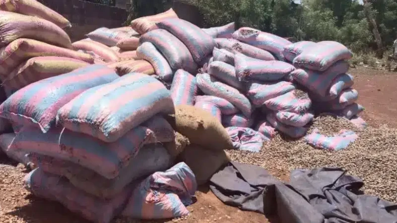 Burkina Faso : saisie record de plus de 30 tonnes de noix de cajou