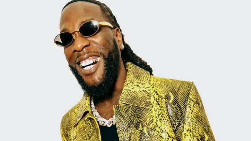 burna boy