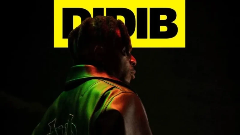 Didi B