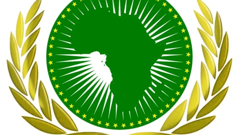 Union Africaine (UA)