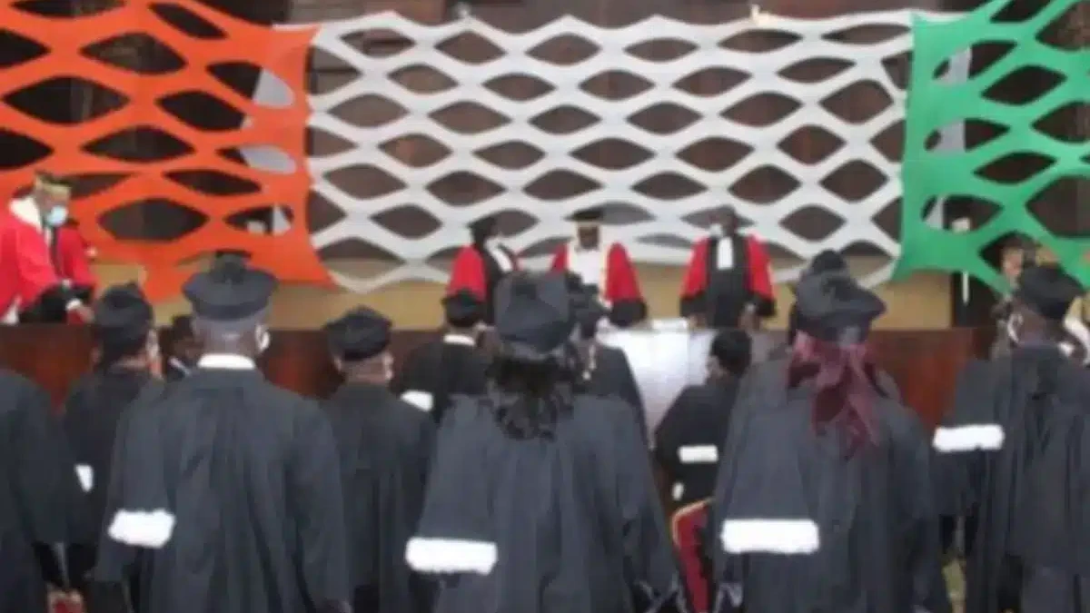 Présidentielle en Côte d'Ivoire : ce qui inquiète les avocats !