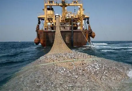 Le Caméroun s’engage fermement à lutter contre la pêche illégale