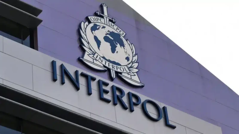 Côte d'Ivoire - Interpol : 58 personnes arrêtées pour cybercriminalité
