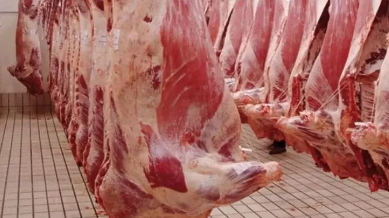 Maroc viande rouge