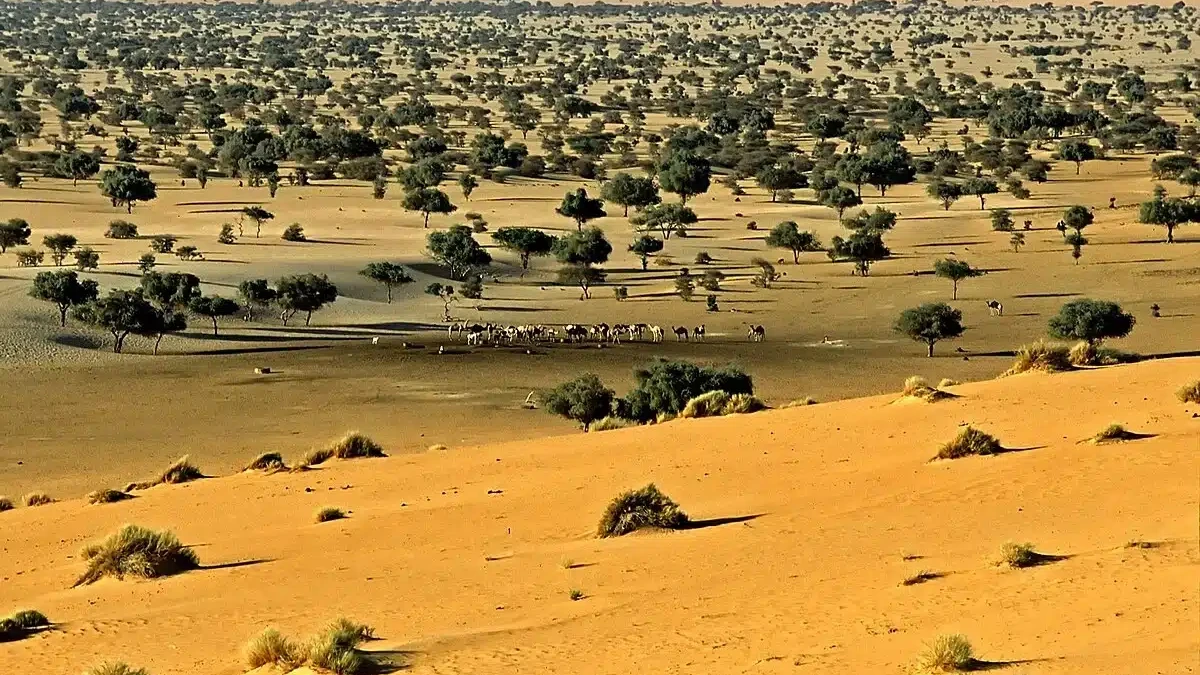 Niger