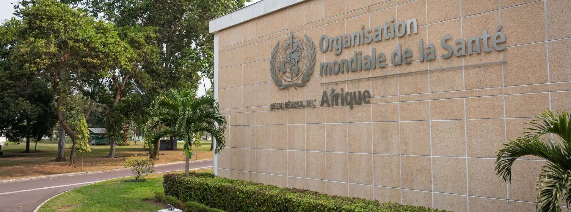OMS – Afrique : le successeur de Dr Faustine Ndugulile connu