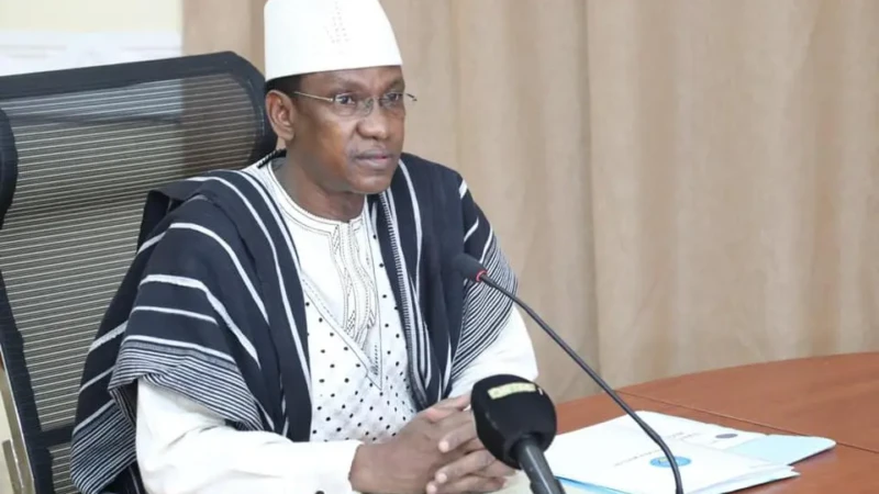 AES - Choguel Maïga