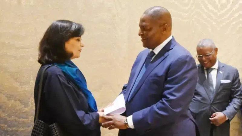 Faustin Archange Touadera GAVI ok