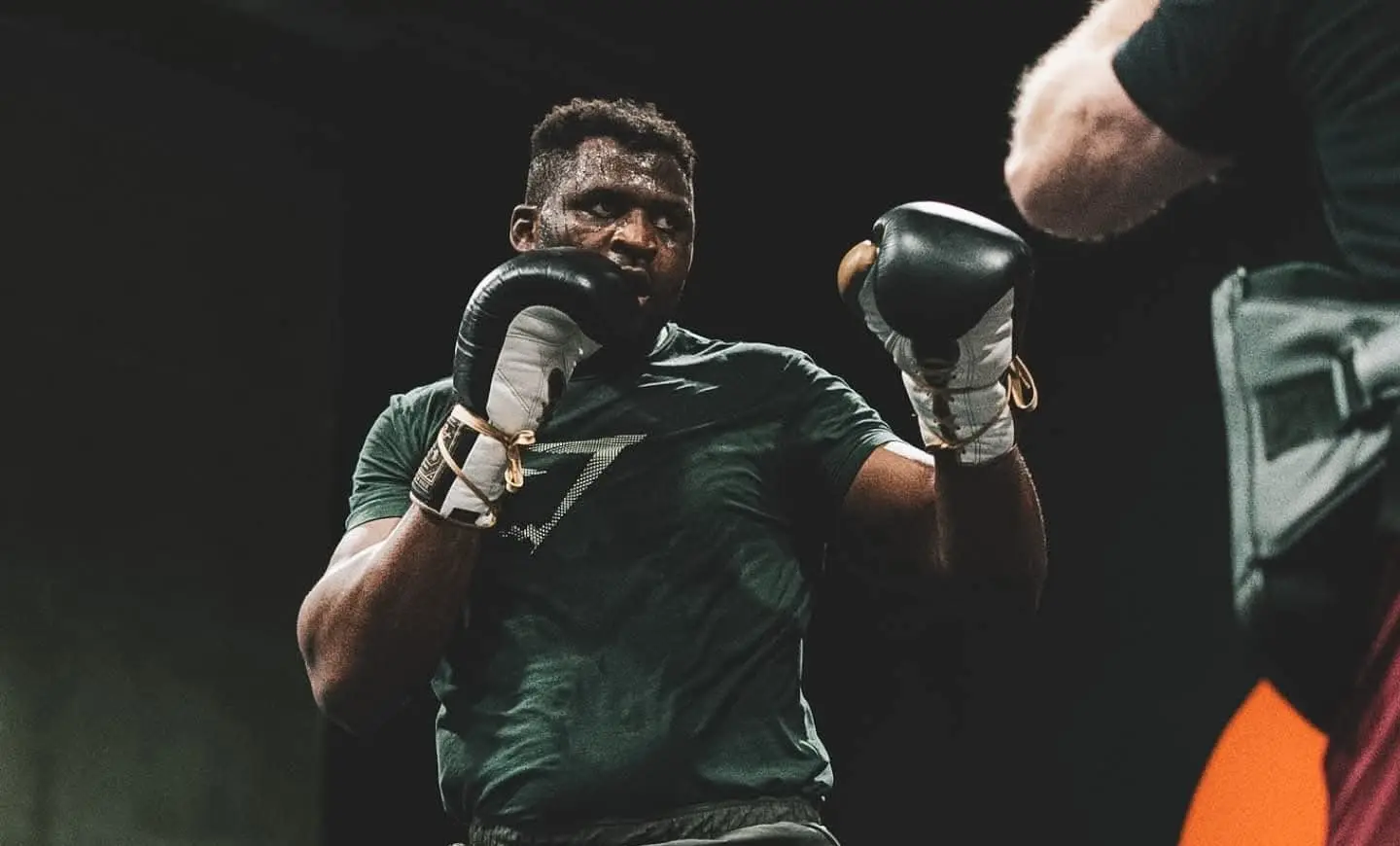 Francis Ngannou bientôt de retour à l’UFC ?