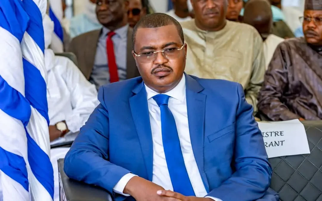 Maïdé Hamit Lony - COST