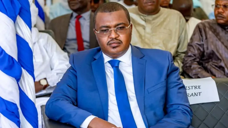 Maïdé Hamit Lony - COST