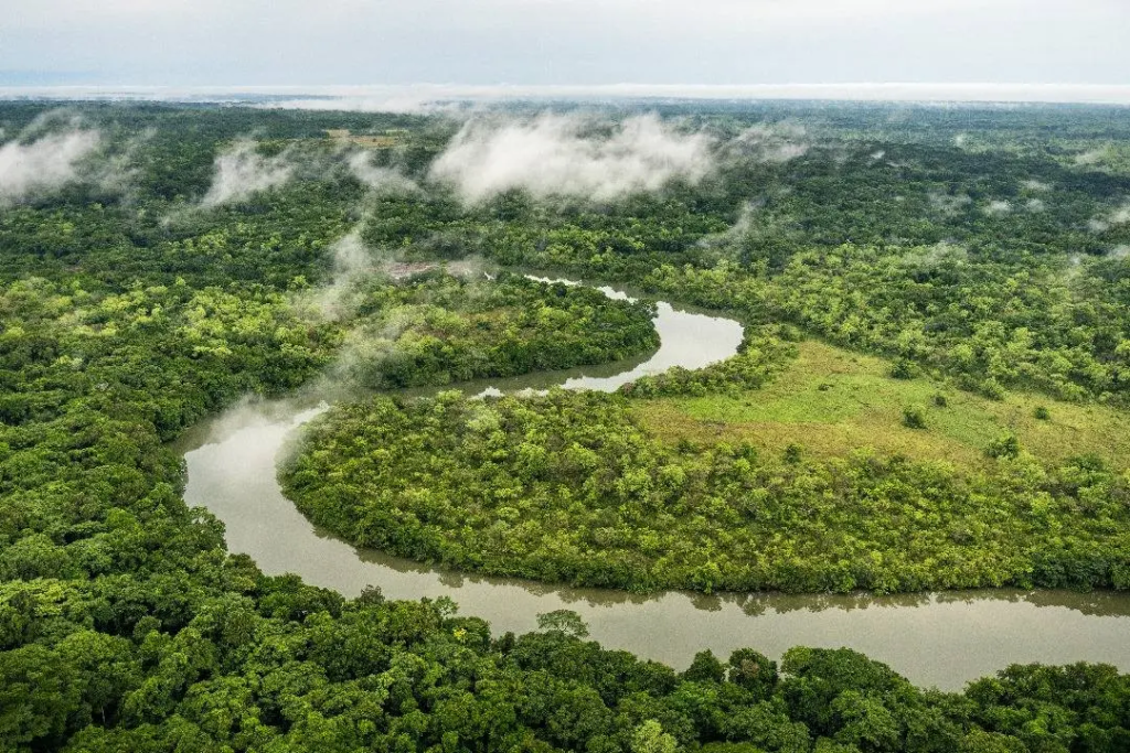 Tokenisation : la Centrafrique vend 1.700 hectares de terres publiques en ligne 2 Parc de Chinco