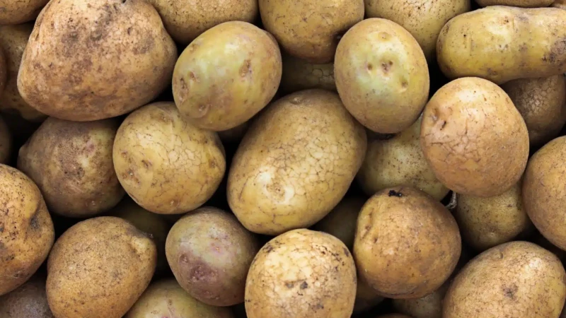 Burkina Faso : suspension de l'importation de la pomme de terre
