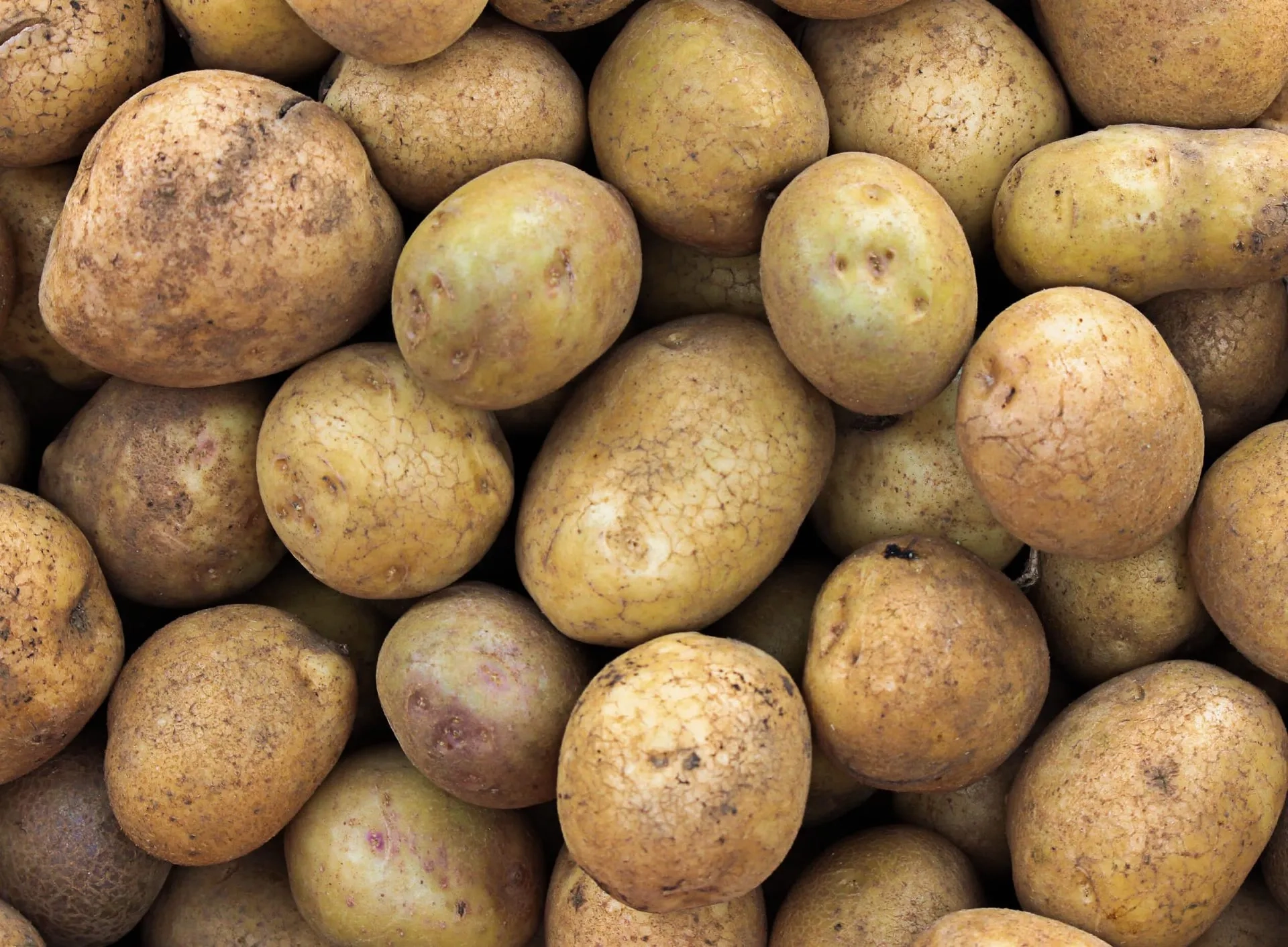 Le Burkina Faso suspend l’importation de la pomme de terre