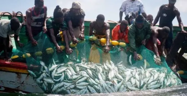 Togo : suspension de la pêche artisanale et industrielle