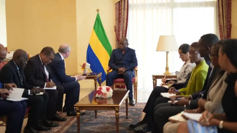 Audience Eramet - Président du Gabon