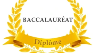 Résultats BAC 2025 en France : tout sur la consultation des résultats